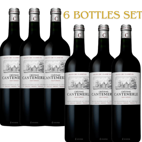 章。坎特梅爾 2007 年